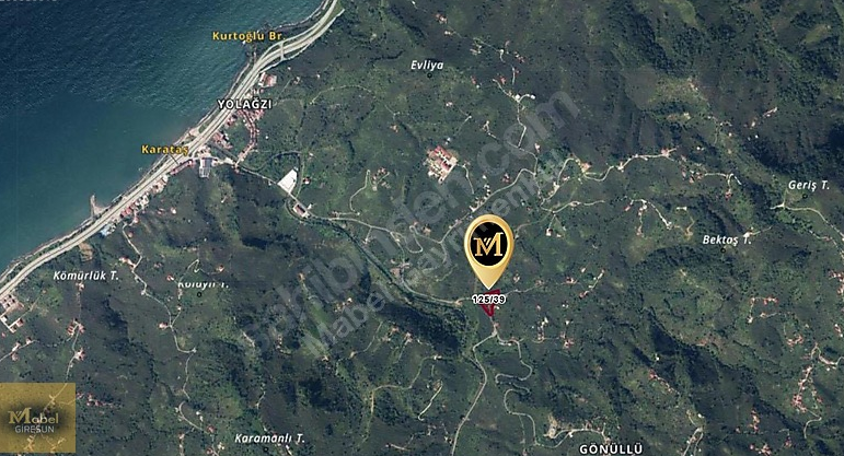 MABEL GAYRİMENKUL KEŞAP / YOLAĞZI/ YOL KENARI FIRSAT BAHÇE